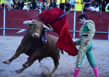 Pase por alto de Antlín Jiménez al último novillo de Cebada Gago, en Ayllón. / A.M.
