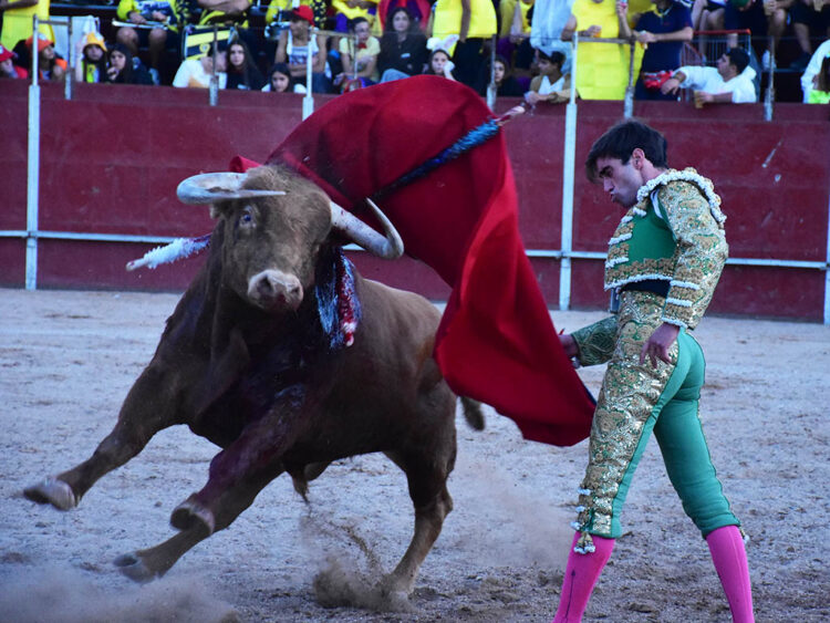 Pase por alto de Antlín Jiménez al último novillo de Cebada Gago, en Ayllón. / A.M.