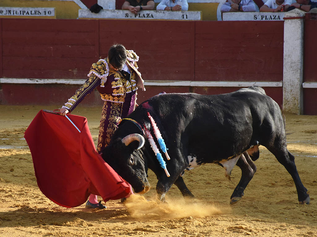 Un septiembre para curtir novilleros 2 Derechazo de Borja Ximelis. / A.M.