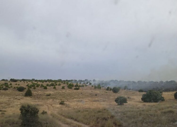 El incendio a primera hora de la mañana./INFOCAL