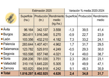 Cosecha de cereal de invierno 2025.