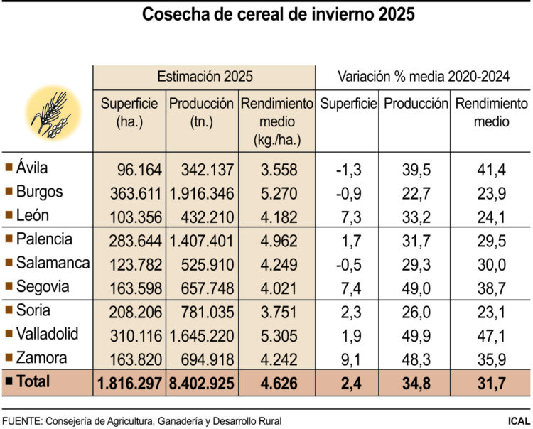 Cosecha de cereal de invierno 2025.