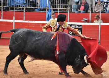 Damián Castaño, con un toro de Raso de Portillo en Riaza. / A.M.