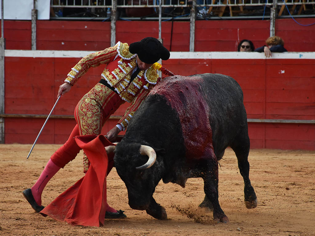 noticia