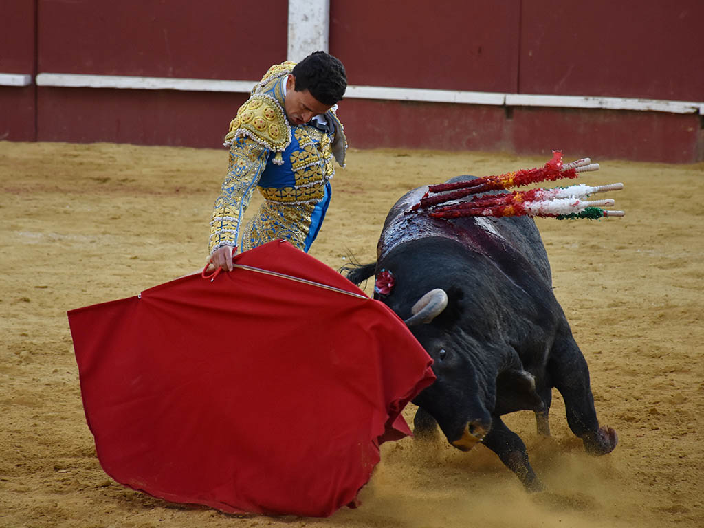 Partido de Resina, entre las complicaciones y las opciones 6 Derechazo de André Lagravere 'El Galo', en Cuéllar. / A.M.