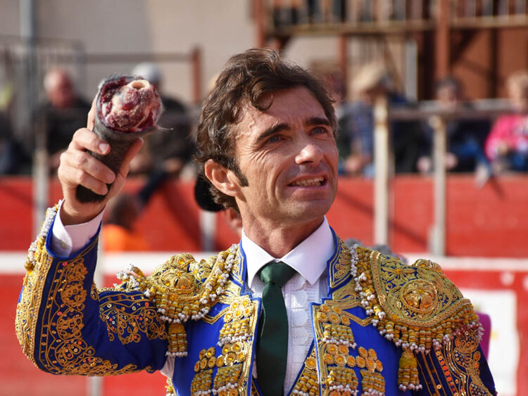 Despedida de Robleño, novillada con picadores de Cebada Gago y concurso de cortes en Ayllón 1 Fernando Robleño, el año pasado en Riaza. / A.M.