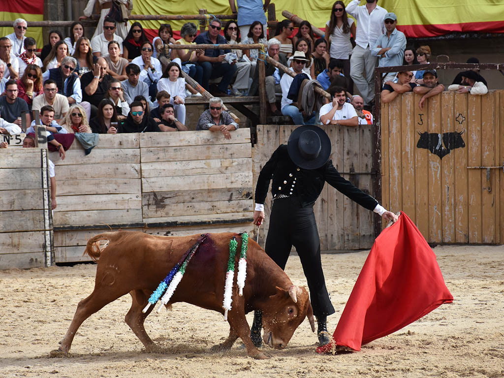 Andrés Hernando, un homenaje ganado a pulso en el ruedo 5 Finito de Córdoba. / A.M.