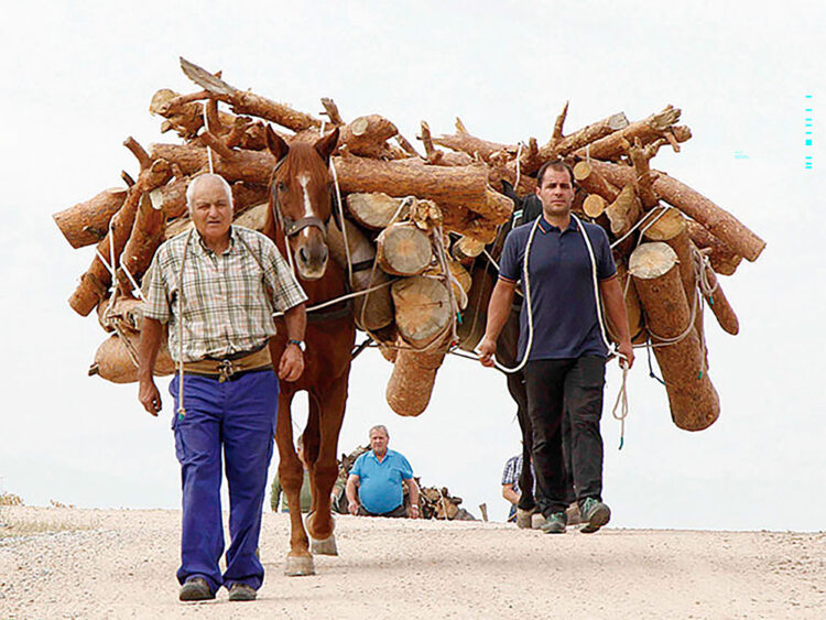 Historia de “la traída” del agua potable a Sangarcía 1 Los gabarreros portando la leña a lomos de sus caballos para poder venderla.