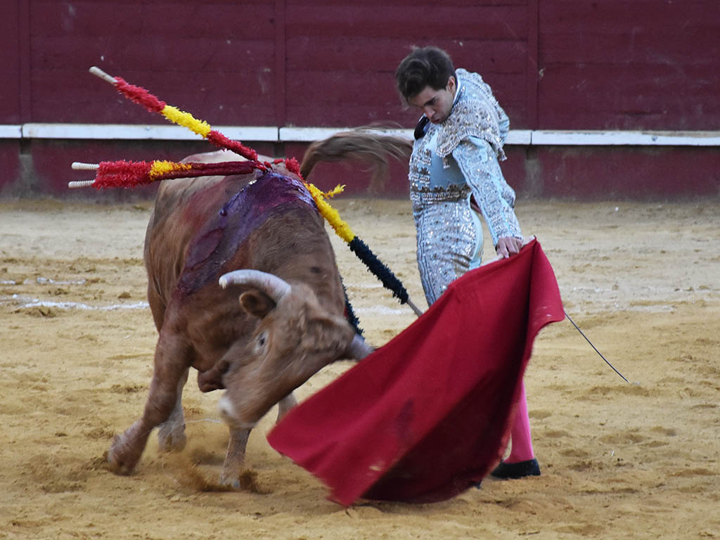 Un septiembre para curtir novilleros 4 HERRERO