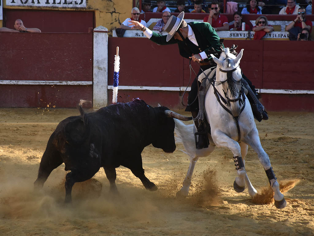 Puerta Grande a la dimensión de Sebastián Fernández y al cariño de Hermoso de Mendoza con Cuéllar 5 Guillermo Hermoso de Mendoza, en Cuéllar. / A.M.