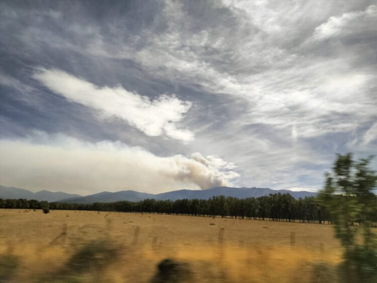Alerta en el límite con Guadalajara por el incendio de Pico del Lobo 1 El incendio hoy desde la carretera de Riaza