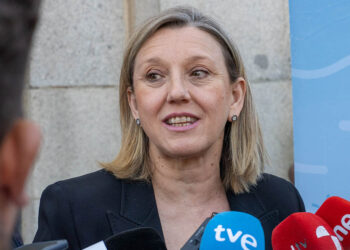 La vicepresidenta de la Junta de Castilla y León y consejera de Familia e Igualdad de Oportunidades, Isabel Blanco. / HÉCTOR CRIADO