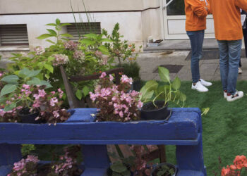 Jardín efímero. / KAMARERO