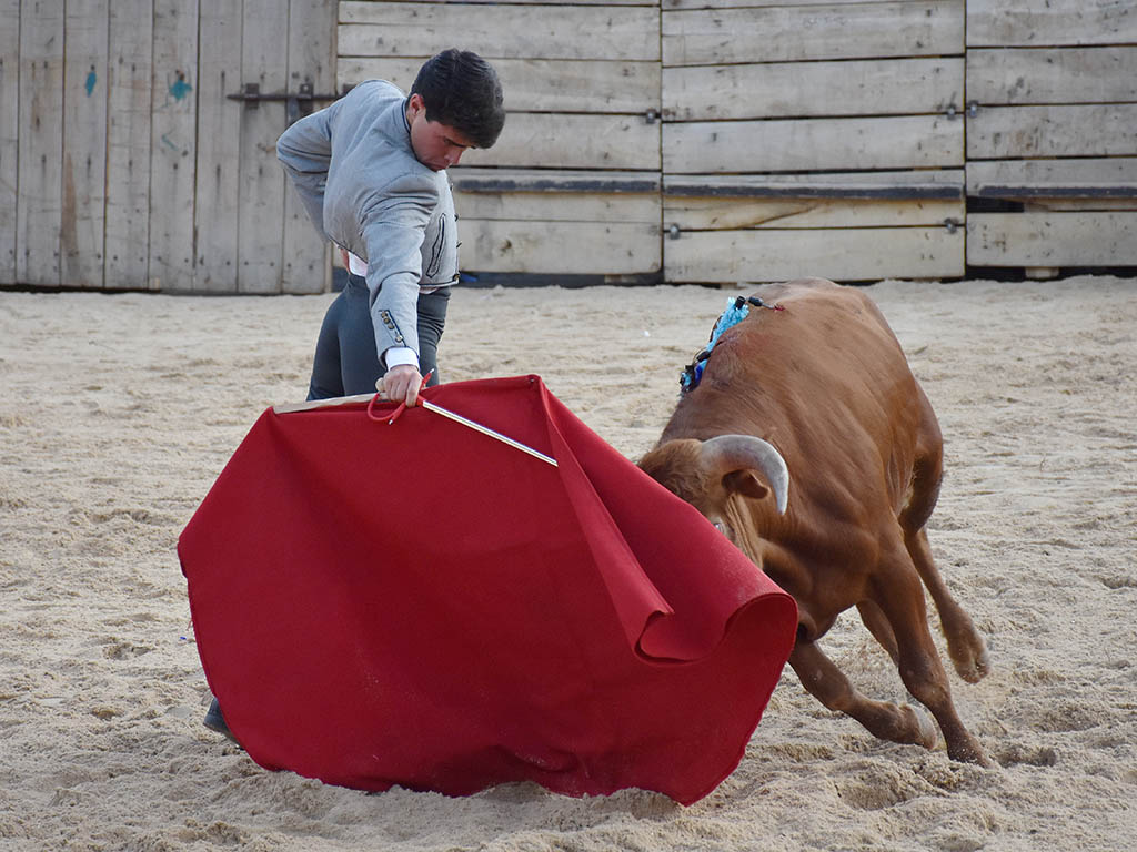 Andrés Hernando, un homenaje ganado a pulso en el ruedo 4 Roberto Martín 'Jarocho'. / A.M.