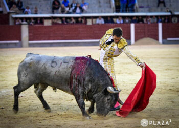 Nautural largo del torero cuellarano Javier Herrero a un toro de José Escolar en Las Ventas. / PLAZA 1