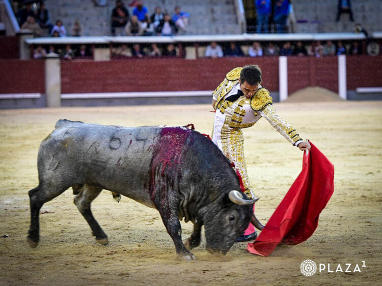 Disposición de Javier Herrero en Las Ventas 1 Nautural largo del torero cuellarano Javier Herrero a un toro de José Escolar en Las Ventas. / PLAZA 1