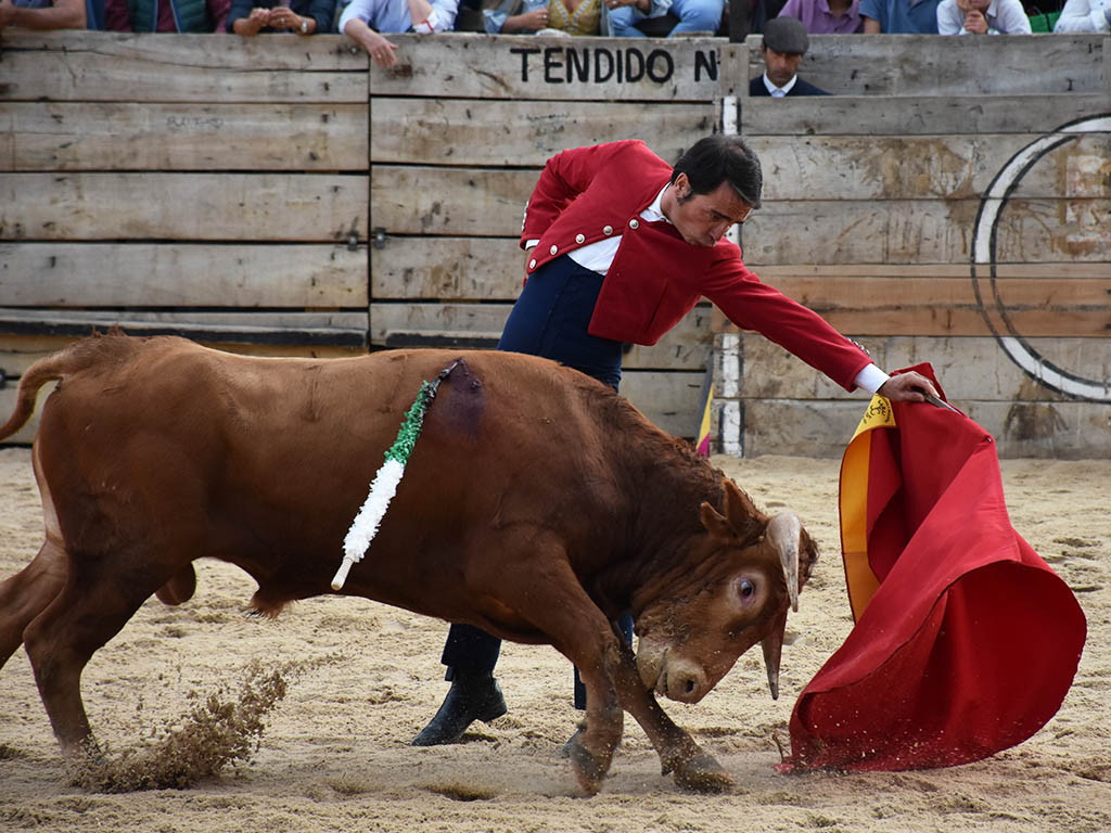 Andrés Hernando, un homenaje ganado a pulso en el ruedo 3 Javier Herrero A.M.