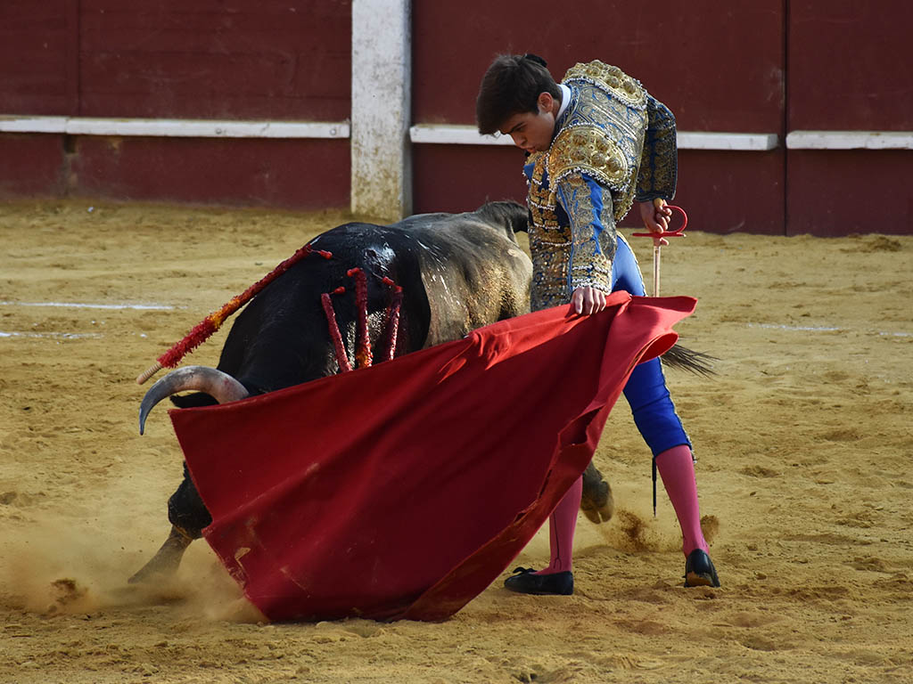 Un septiembre para curtir novilleros 3 Natural de Jesús Yglesias. / A.M.