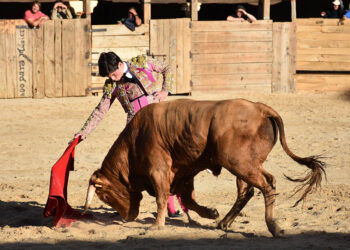 El novillero segoviano Jorge Oliva, con un ejemplar de Cayetano de Frutos en Pedraza. / A.M.