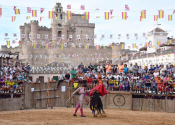 El novillero Jorge Oliva, en la plaza de toros de Turégano. / A.M.