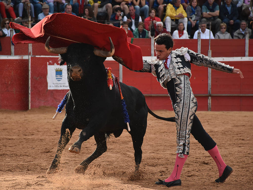 noticia