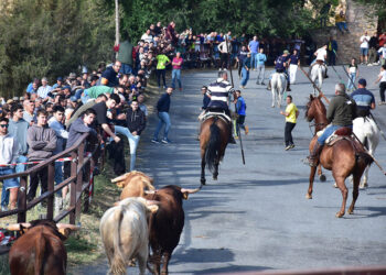 Los novillos de Cayetano de Frutos entren en el recorrido urbano de Pedraza, de la mano de los caballistas. / ALEJANDRO MARTÍN