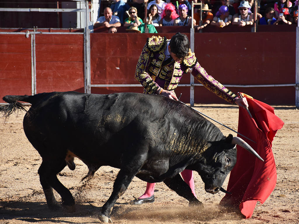 Muletazo del novillero vitoriano Pedro Andrés, en Ayllón. / A.M.