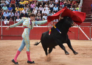 Pase de pecho de Pepe Luis Cirugeda. / A.M.