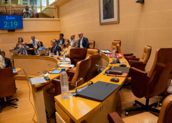 Los grupos de la oposición, salvo Vox, abandonan la sesión plenaria durante la intervención de Rosalía Serrano. / HÉCTOR CRIADO