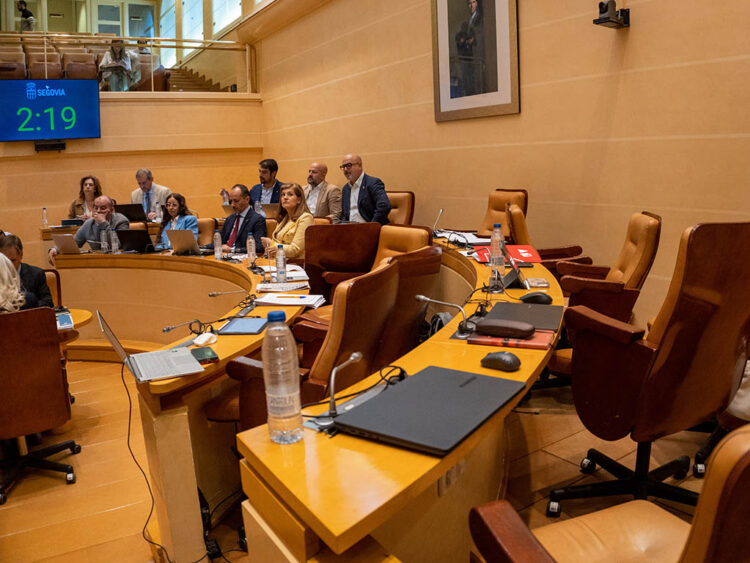 Los grupos de la oposición, salvo Vox, abandonan la sesión plenaria durante la intervención de Rosalía Serrano. / HÉCTOR CRIADO