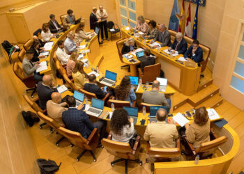 Pleno del Ayuntamiento de Segovia. / HÉCTOR CRIADO