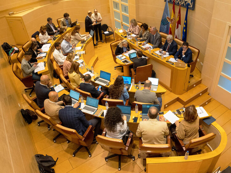 Pleno del Ayuntamiento de Segovia. / HÉCTOR CRIADO