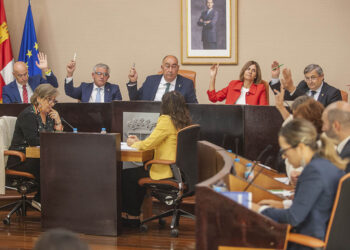 Votación en el Pleno de septiembre de la Diputación de Segovia. / KAMARERO