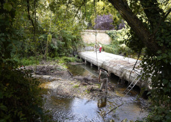 Trabajos de retirada arbolado del cauce del río Eresma. / MARIO ANTÓN LOBO