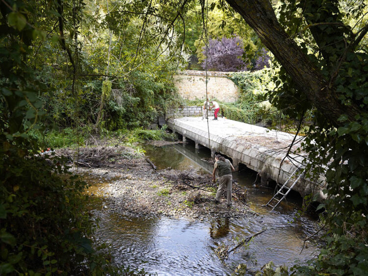 Finalizan los trabajos de retirada de arbolado en el cauce del río Eresma 1 Trabajos de retirada arbolado del cauce del río Eresma. / MARIO ANTÓN LOBO