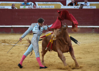 Pase de pecho del novillero salmantino Salvador Herrero, en Cuéllar, a un utrero de Aurelio Hernando. / A.M.