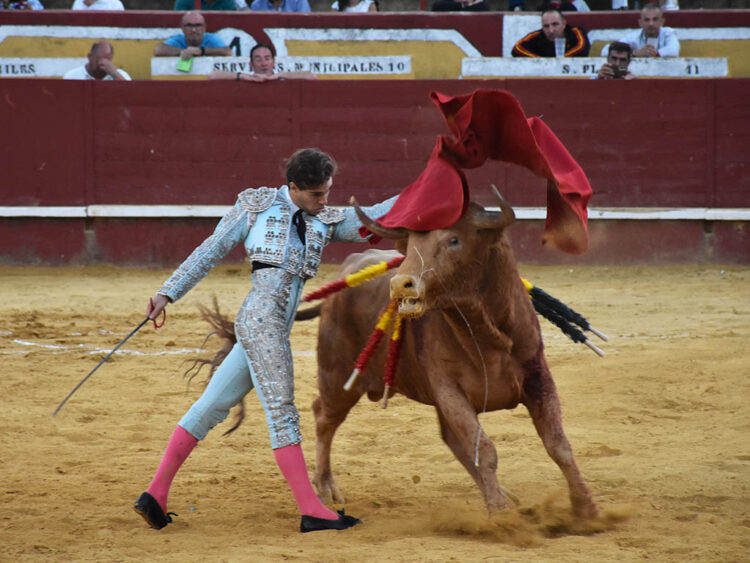 Un septiembre para curtir novilleros 1 Pase de pecho del novillero salmantino Salvador Herrero, en Cuéllar, a un utrero de Aurelio Hernando. / A.M.