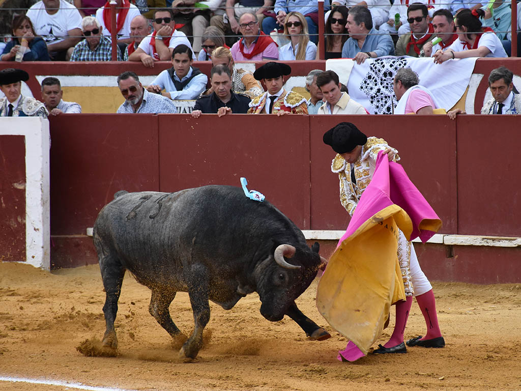 Partido de Resina, entre las complicaciones y las opciones 2 Lance capotero de Sánchez Vara, en Cuéllar. / A.M.