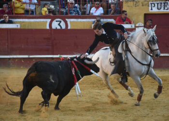 El rejoneador granadino Sebastián Fernández, con un astado de Rosa Rodrigues en Cuéllar. / A.M.