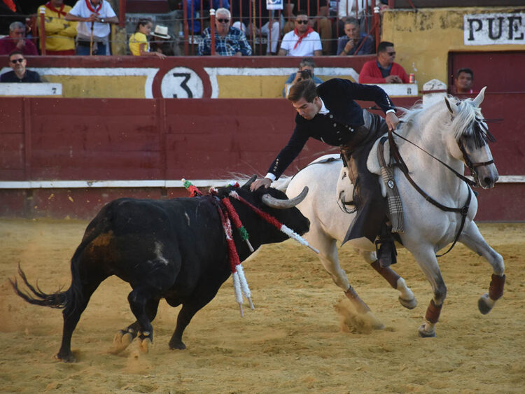 Puerta Grande a la dimensión de Sebastián Fernández y al cariño de Hermoso de Mendoza con Cuéllar 1 El rejoneador granadino Sebastián Fernández, con un astado de Rosa Rodrigues en Cuéllar. / A.M.