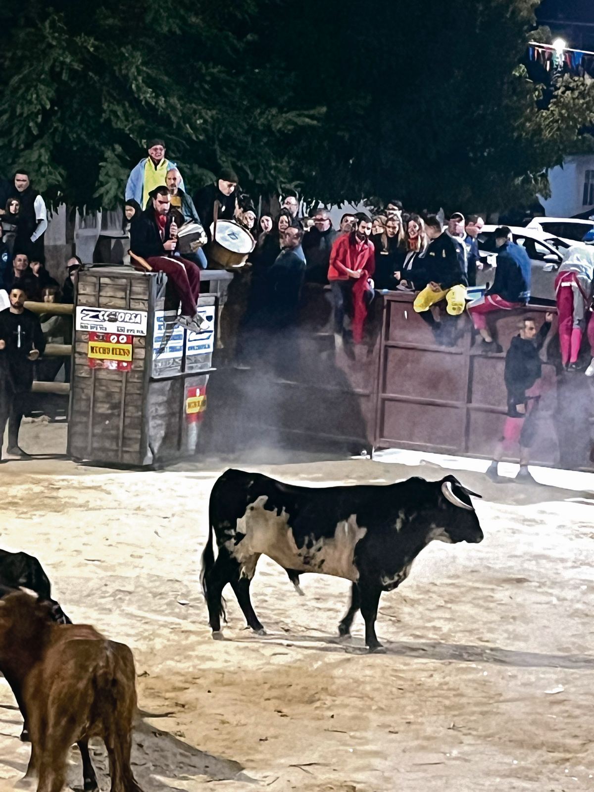 TORO DEL CAJON