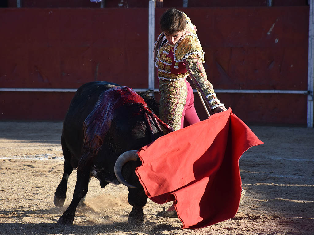 Natural de Tomás González a un utrero de Cebada Gago. / A.M.