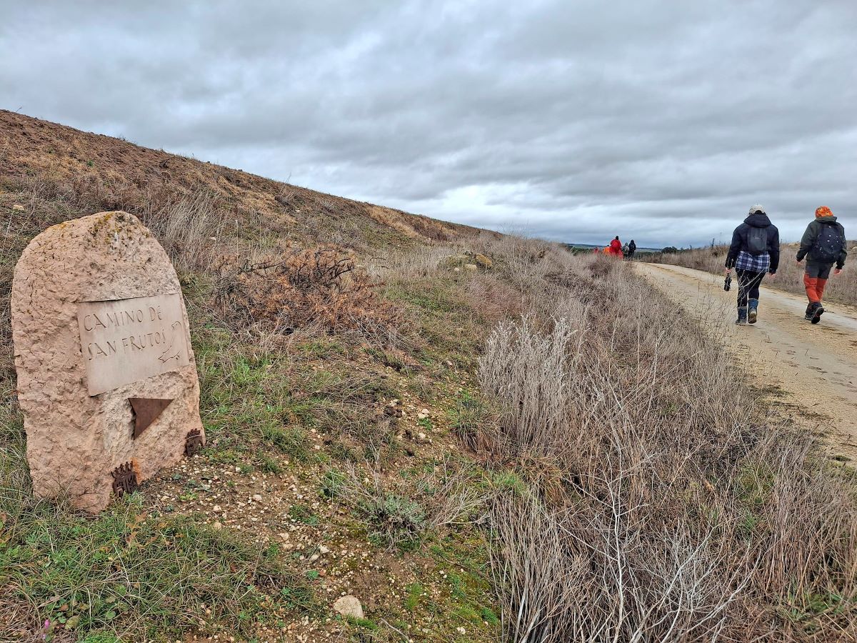 Camino de San Frutos.
