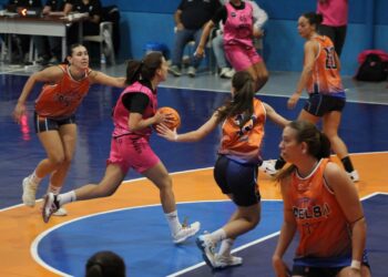 Un instante del duelo entre Cochinillo Segoviano y Arelsa./CD SPORDEPORTE