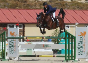 Un instante durante una prueba pasada en el Centro Ecuestre./FHCYL
