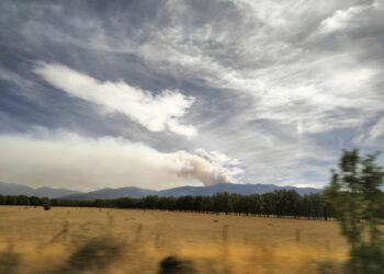 Vista del incendio este fin de semana en La Pinilla desde la carretera a la altura de Riaza
