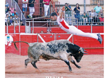 portada Fiestas en Riaza 2025 1