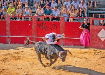 El espectáculo de recortes ofrecerá de nuevo estampas imposibles. / Lidiarte Charro