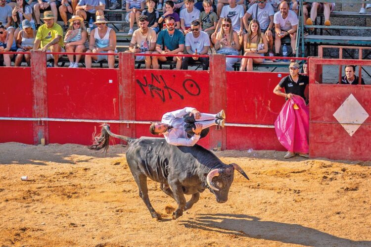 El espectáculo de recortes ofrecerá de nuevo estampas imposibles. / Lidiarte Charro
