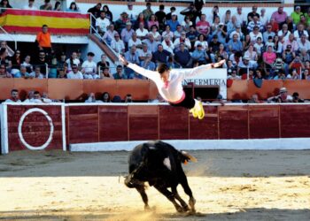 El toro bravo como catalizador de una fiesta que se renueva cada año.                                   ayuntamiento de Nava de la asunción. / Ayuntamiento Nava de la Asunción